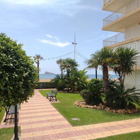 Living Benidorm. Playa Levante Extérieur photo