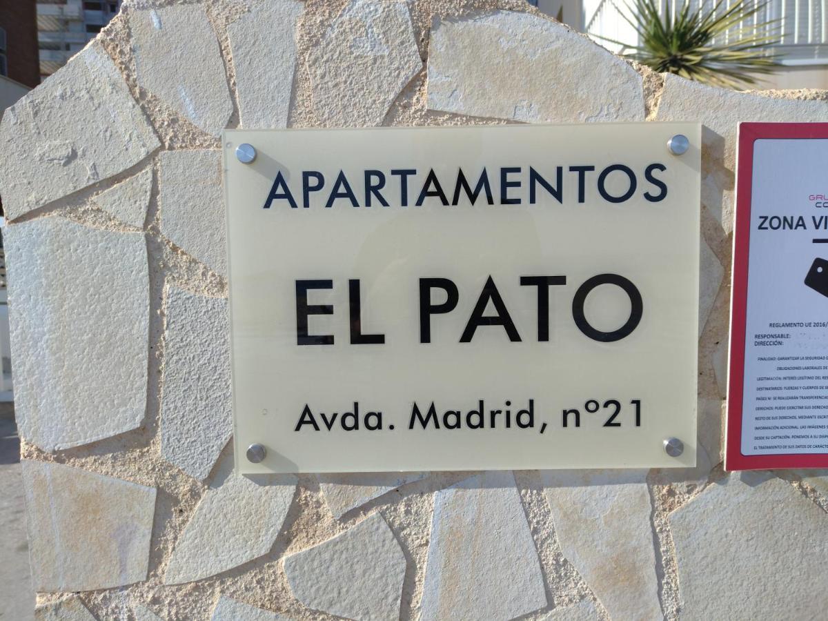 Living Benidorm. Playa Levante Extérieur photo